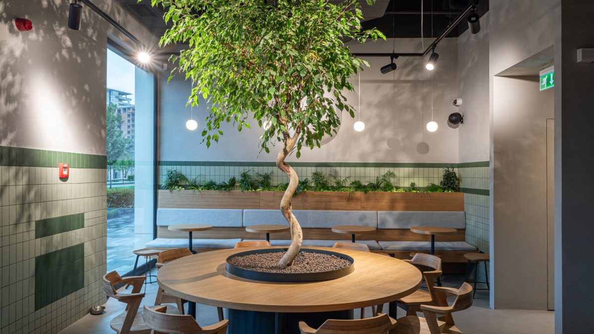 Žardinjera s prirodnim stablom glavni je motiv <b>restorana Eggz</b> u Beogradu