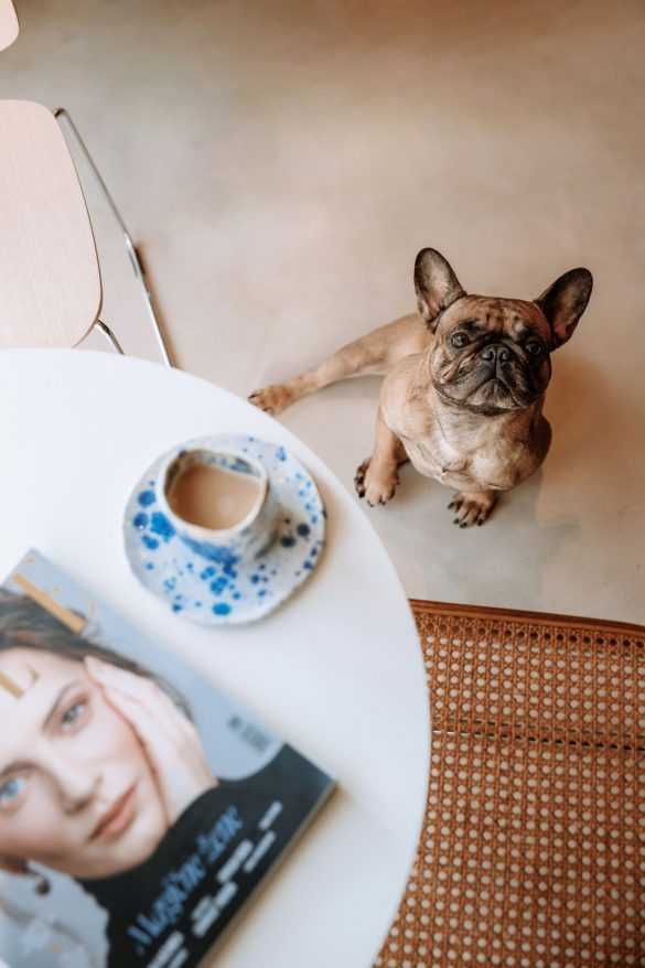 Foto: Karmen Poznić Božić