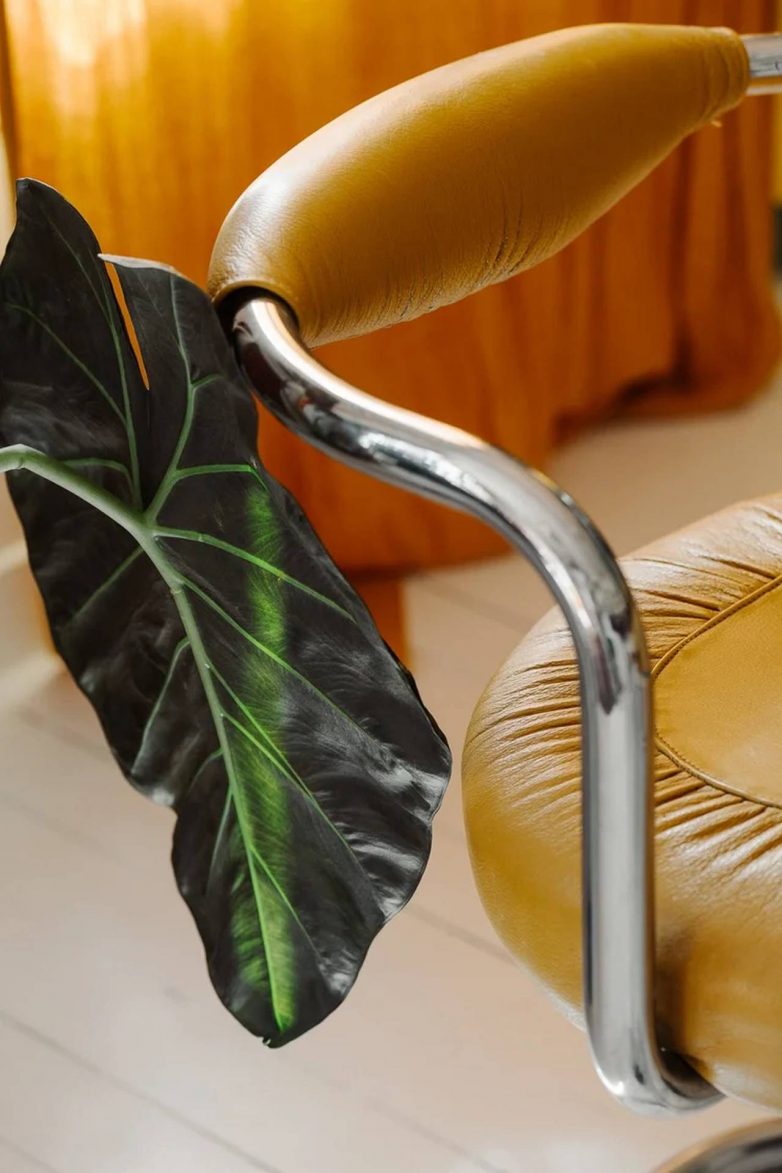 Foto: Amaury Laparra