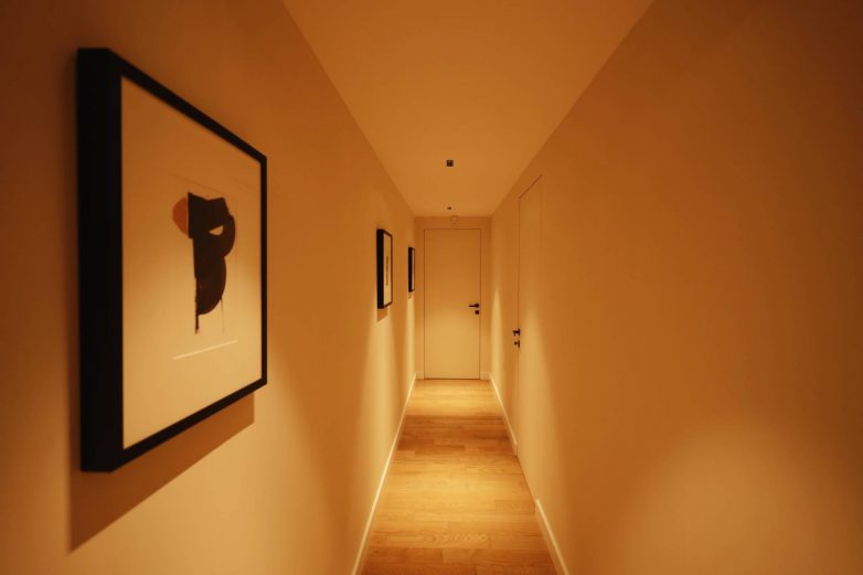 Foto: Stefan Burmazević