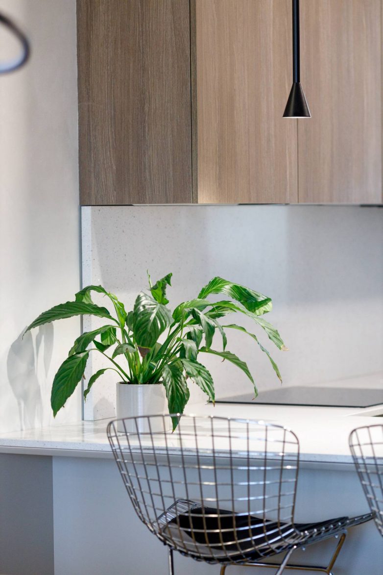 Foto: Snežana Ignjatović