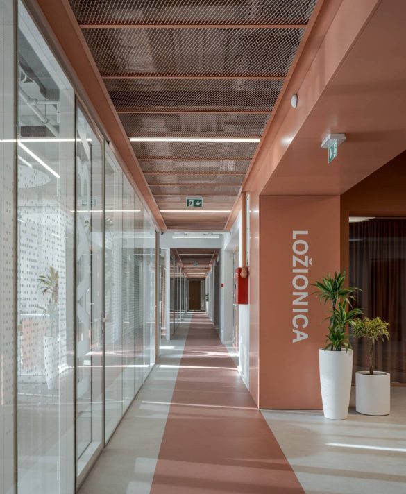 Foto: Miloš Martinović