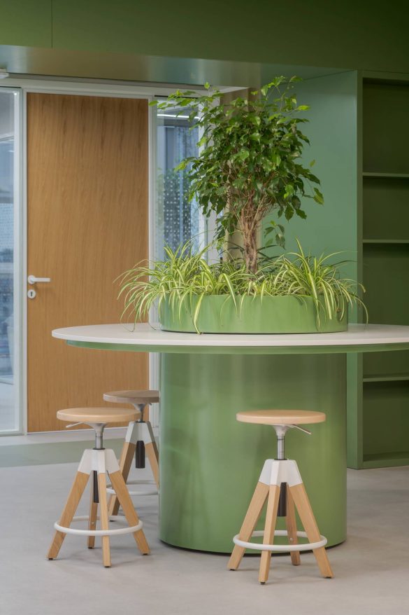 Foto: Miloš Martinović