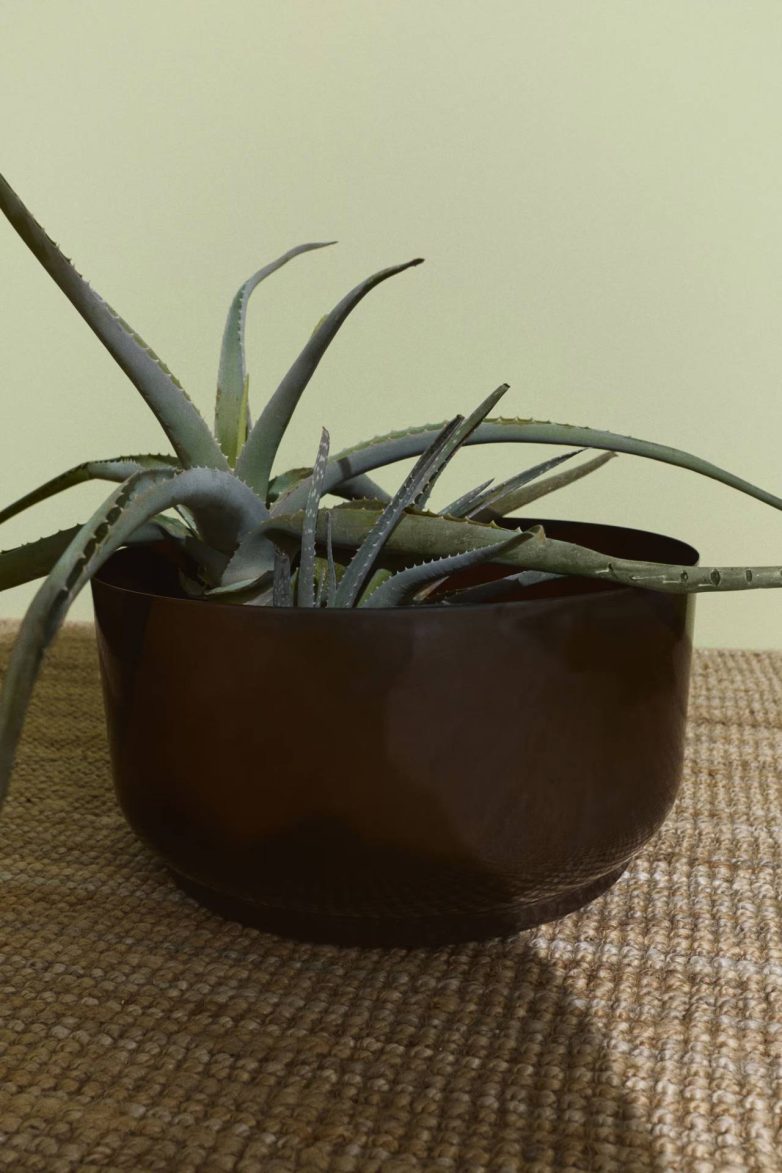 Metalna saksija širokog oblika sa sjajnom površinom u kojoj se nalazi sukulentna biljka